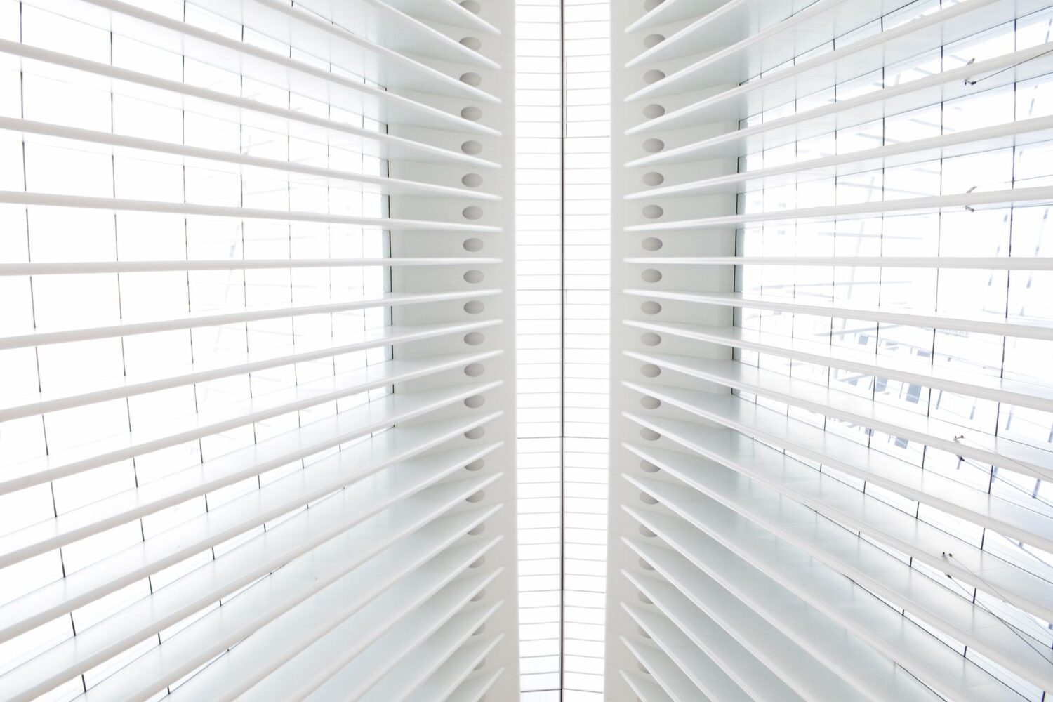Bright Shutters Everywhere